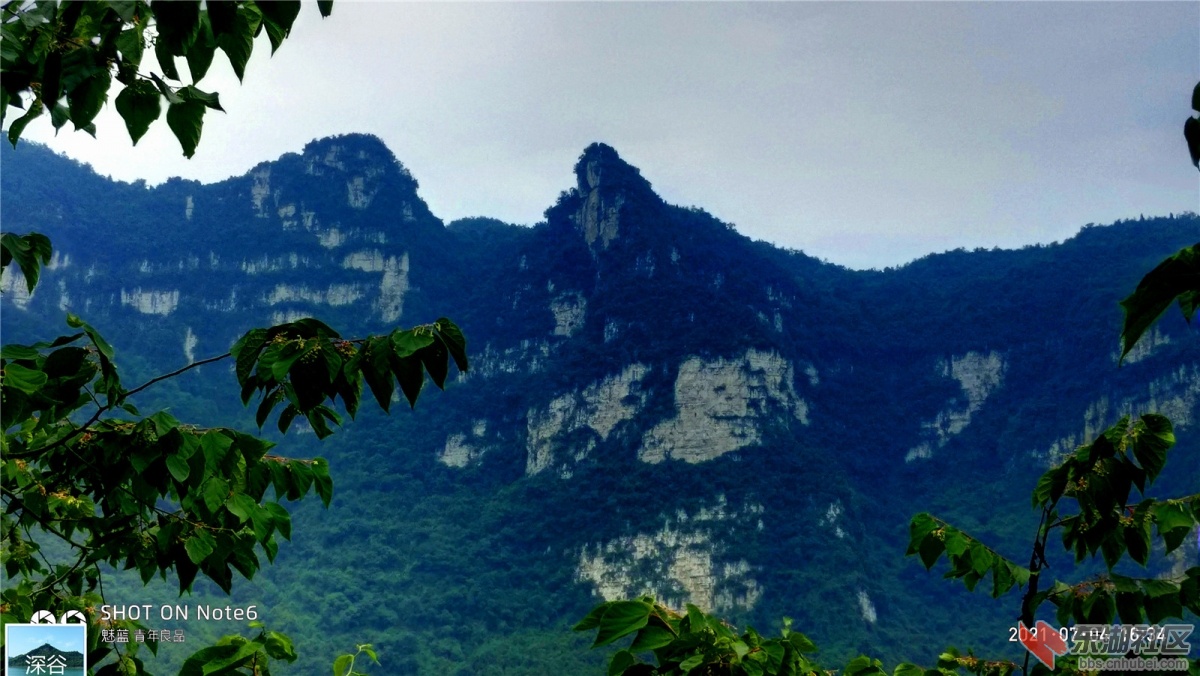 P10704-163422.jpg
