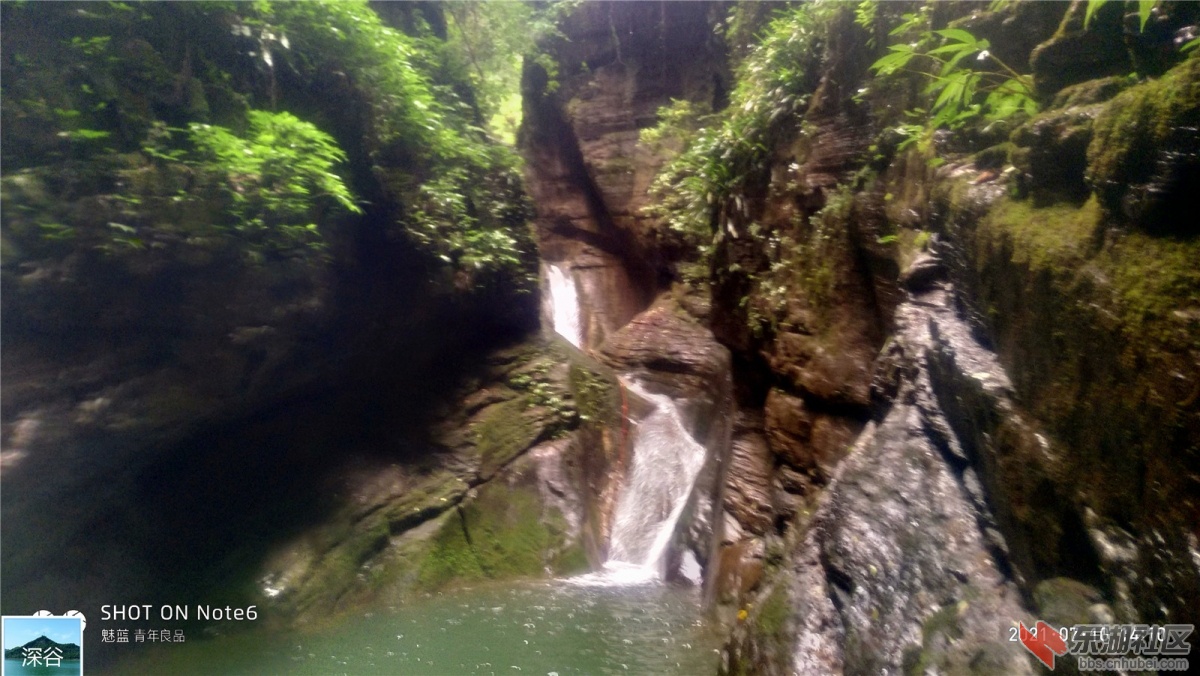P10710-141050.jpg