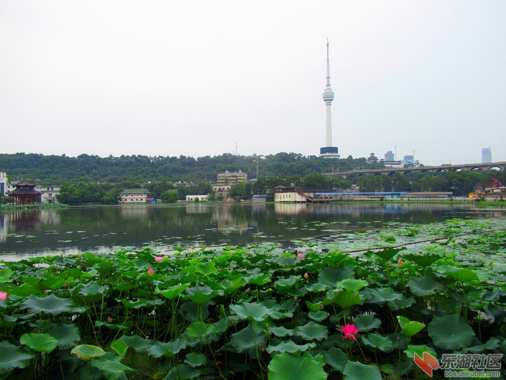 088_副本.jpg