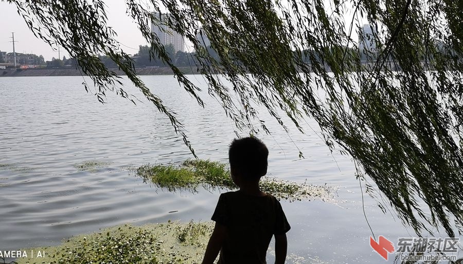 qq图片20190818073257_副本.jpg