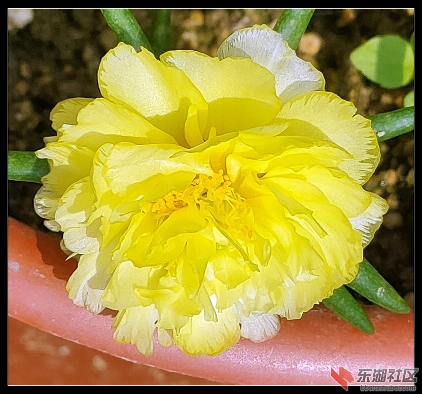 IMG20210720100424.jpg