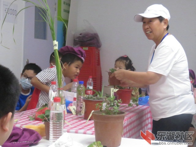 IMG_1768.jpg