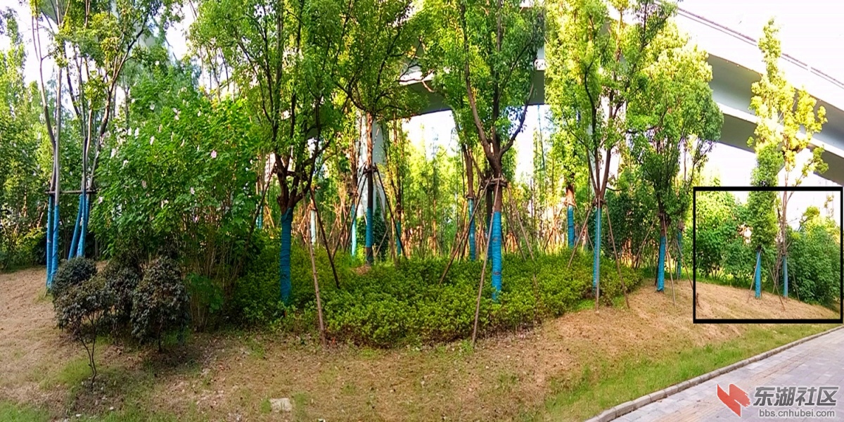 IMG_20210727_071756_副本.jpg