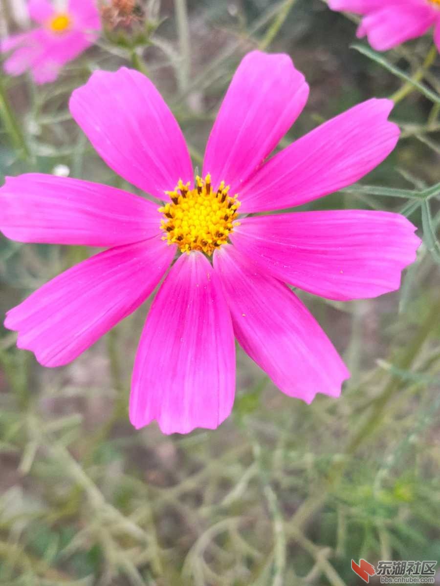 IMG20210730193736.jpg