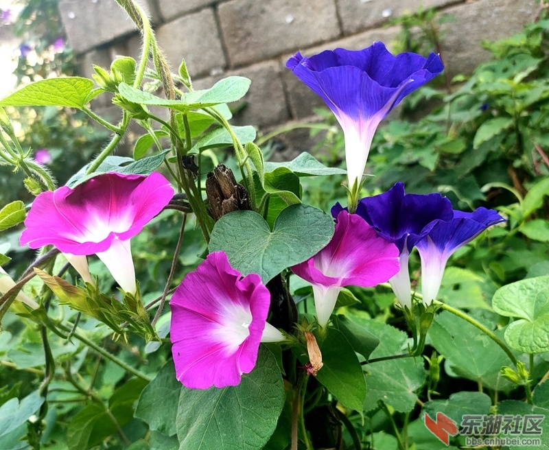IMG20210803090140.jpg