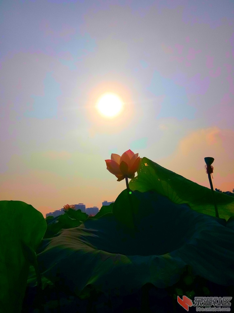 IMG_20210801_080911_副本.jpg