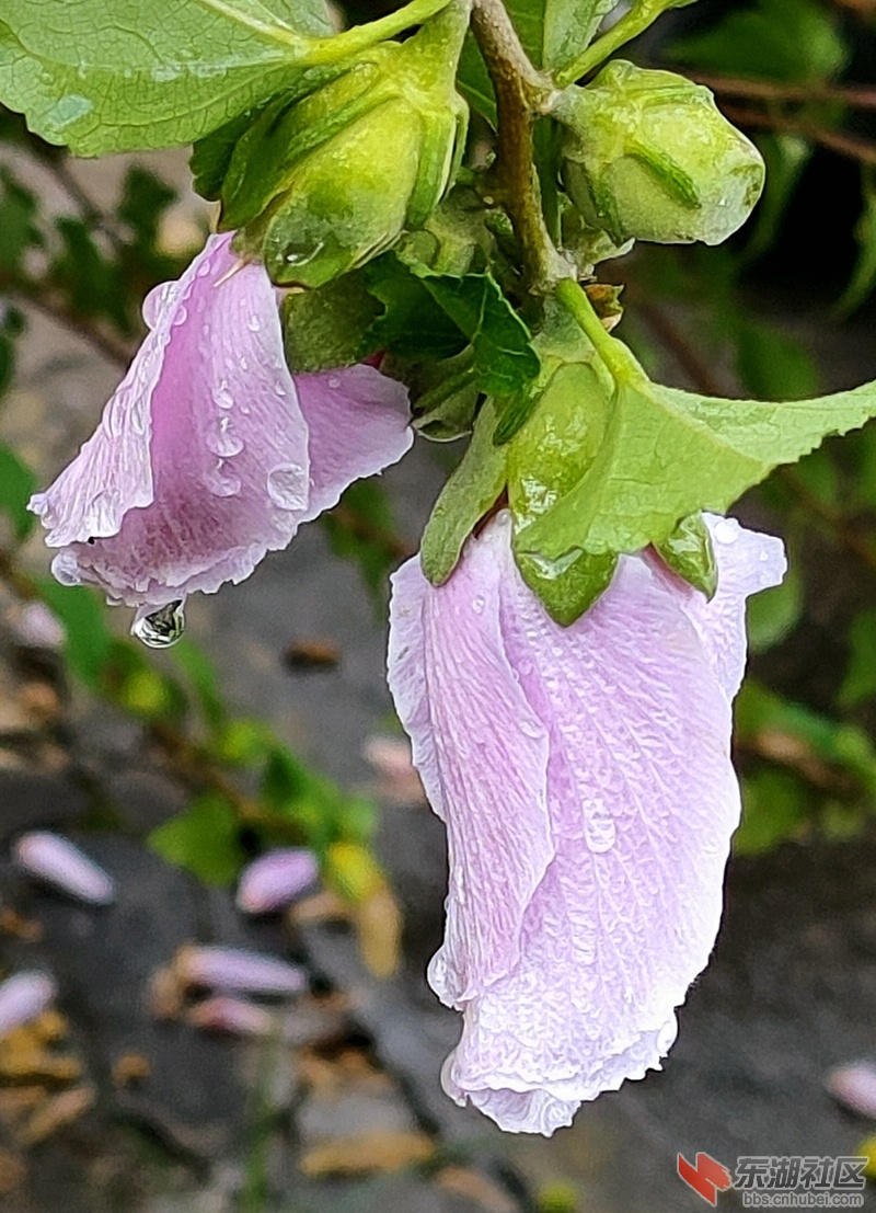 IMG20210811162811.jpg