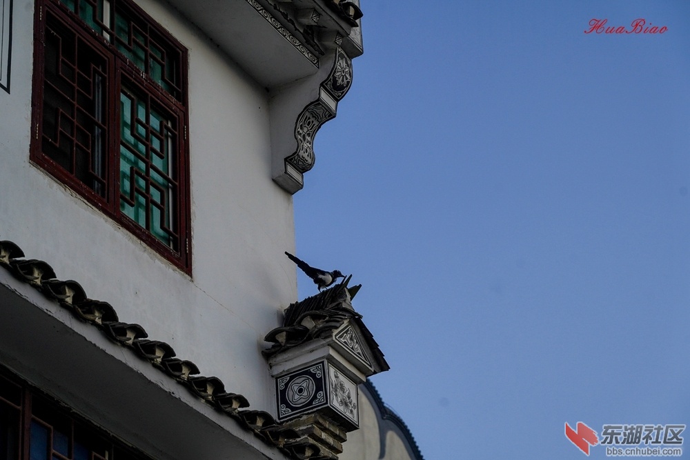 HAO00643啊.jpg