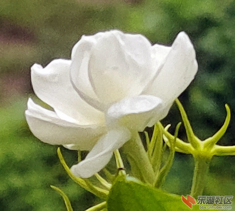 IMG20210816064843.jpg