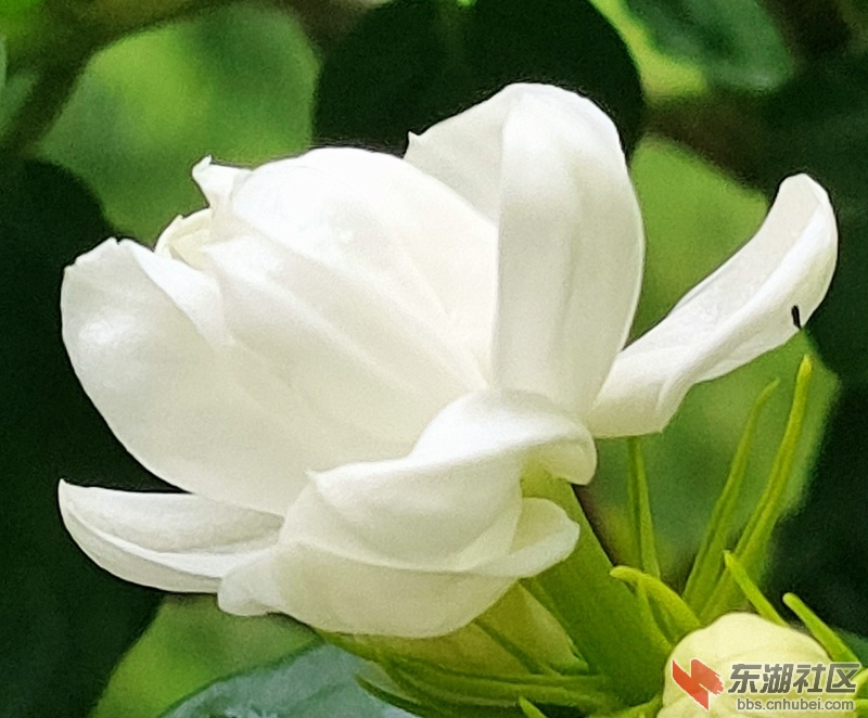 IMG20210816064909.jpg