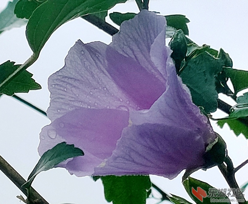 IMG20210816163835.jpg