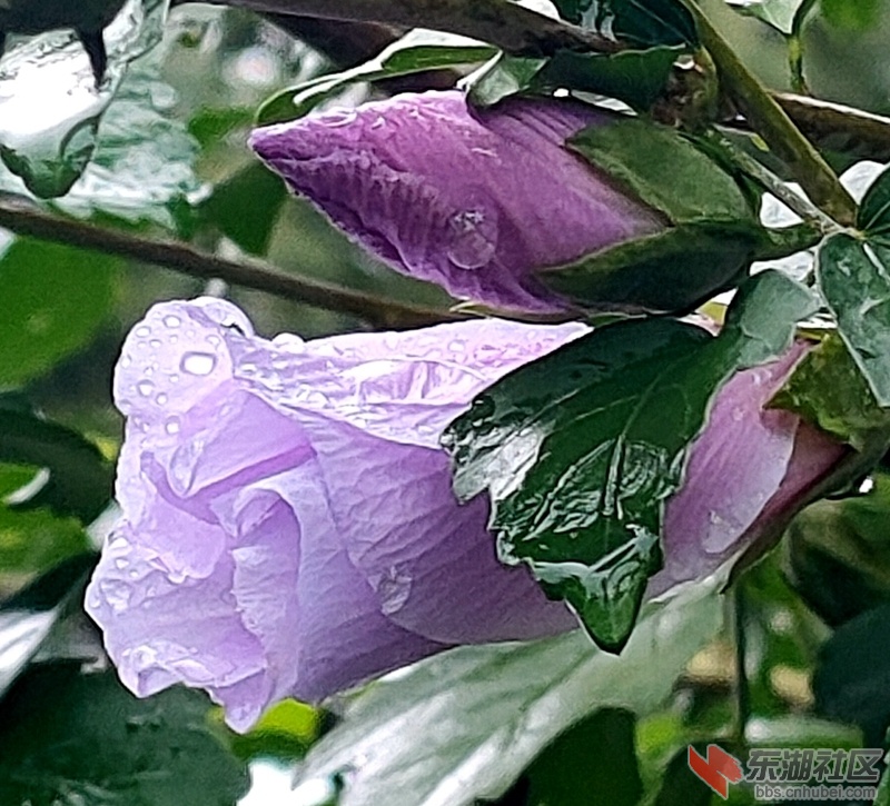 IMG20210816163857.jpg