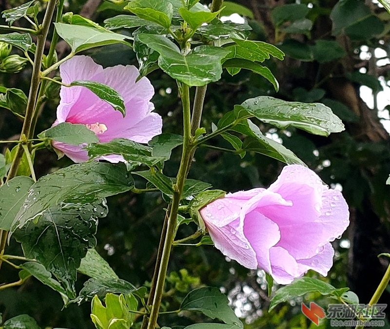 IMG20210816163912.jpg