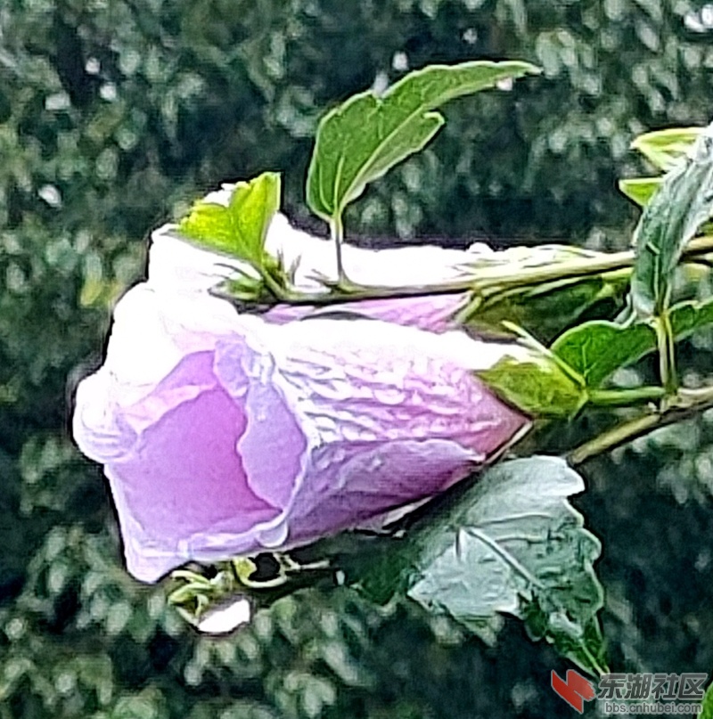 IMG20210816163935.jpg