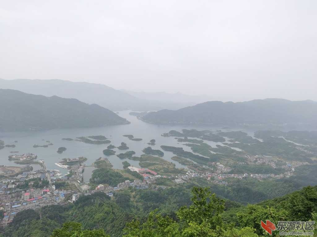 IMG_20210506_104516.jpg