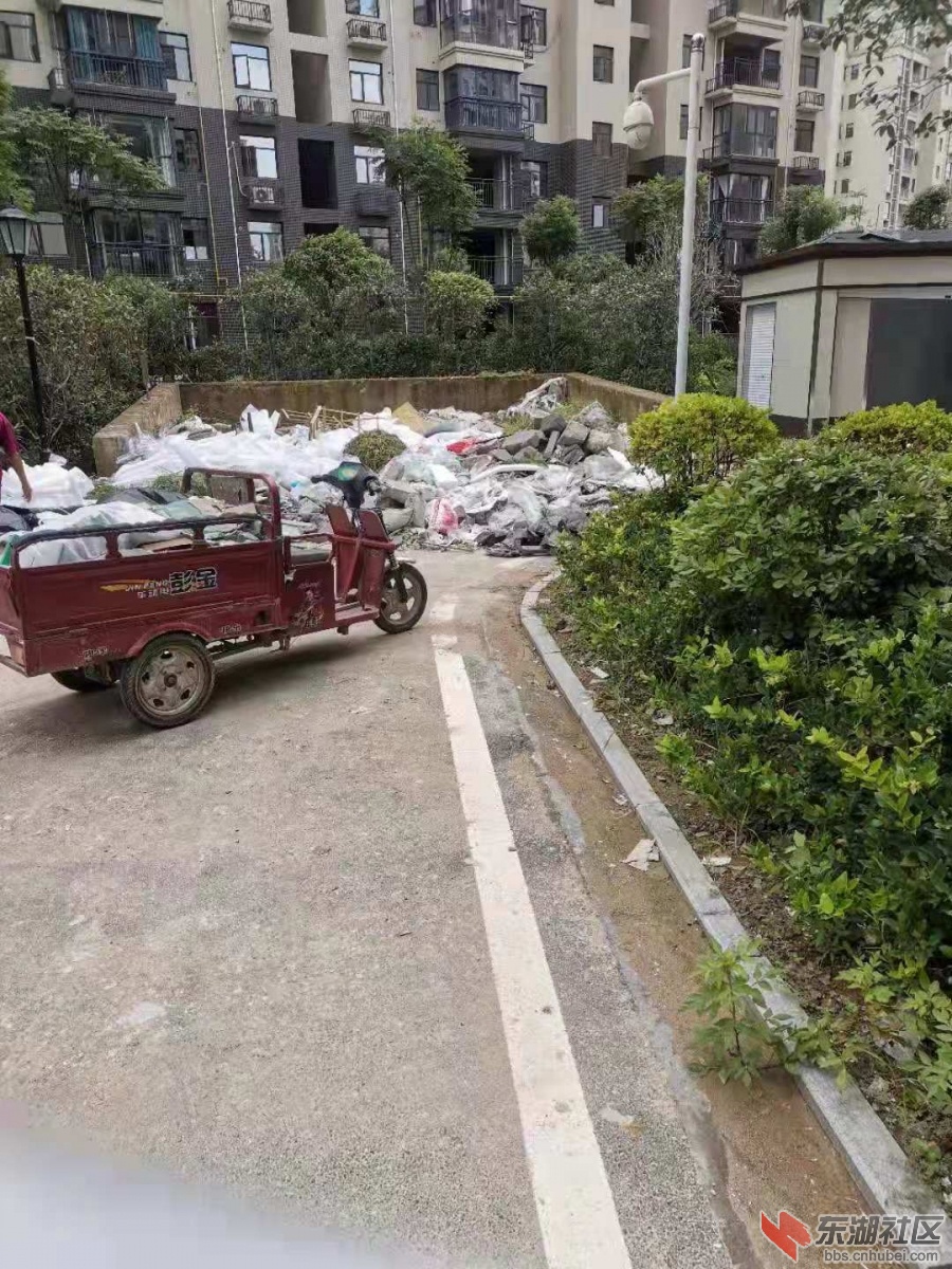 垃圾随意倒