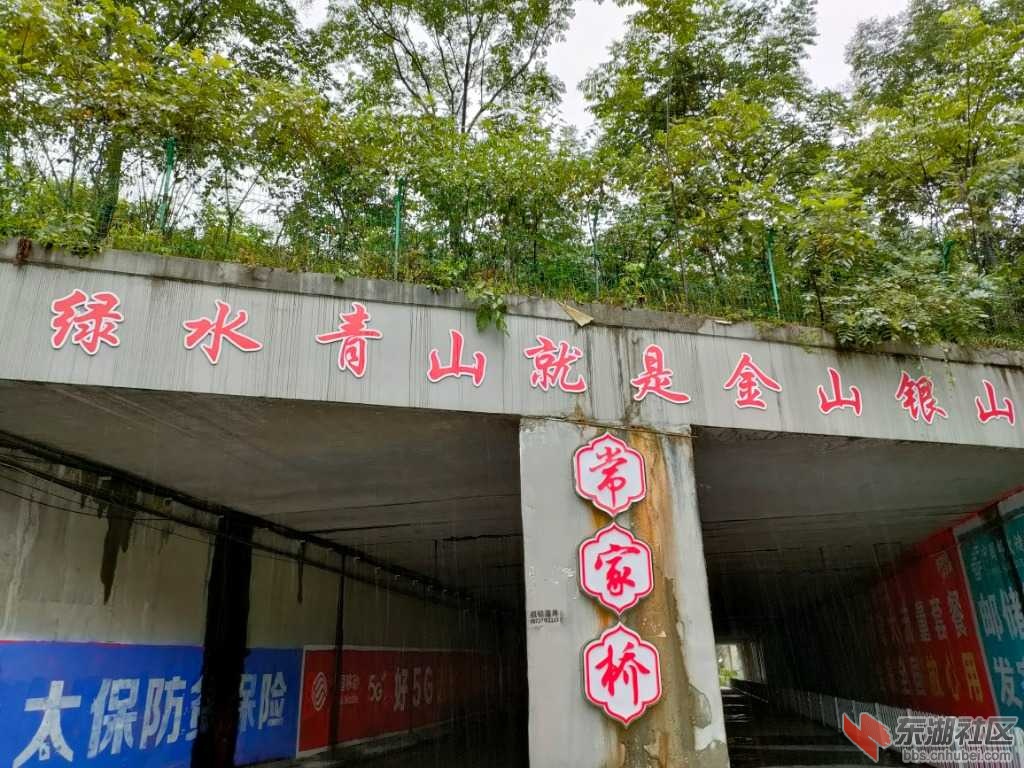 IMG20210829082519.jpg