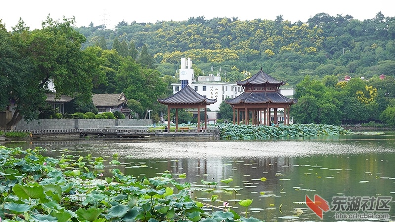 4     DSC04182_副本.jpg