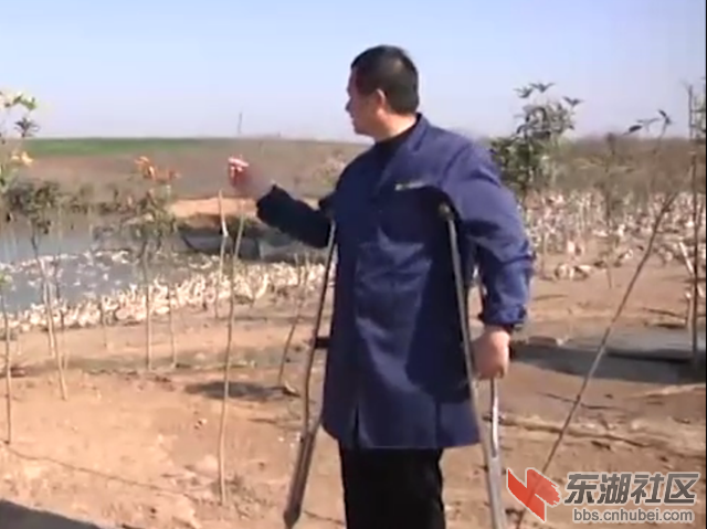4-养鸭基地段.png