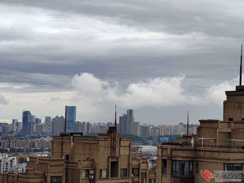 P10920-072801.jpg