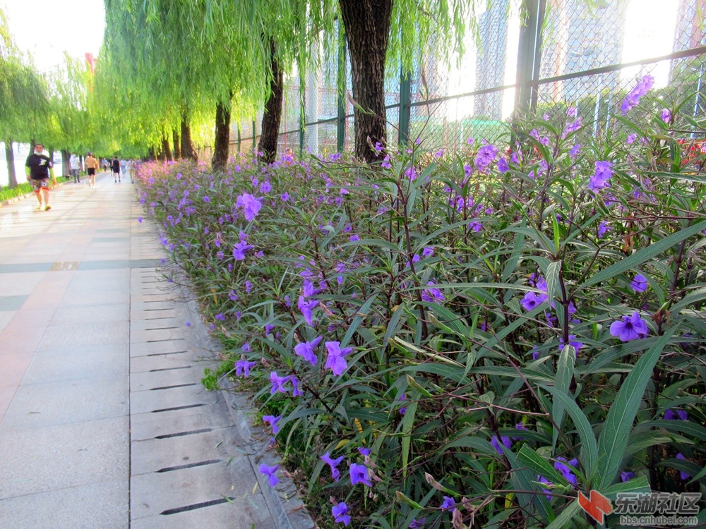 049_副本.jpg