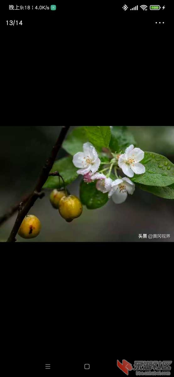 Screenshot_2021-10-08-21-18-30-591_com.ss.android.article.news.jpg