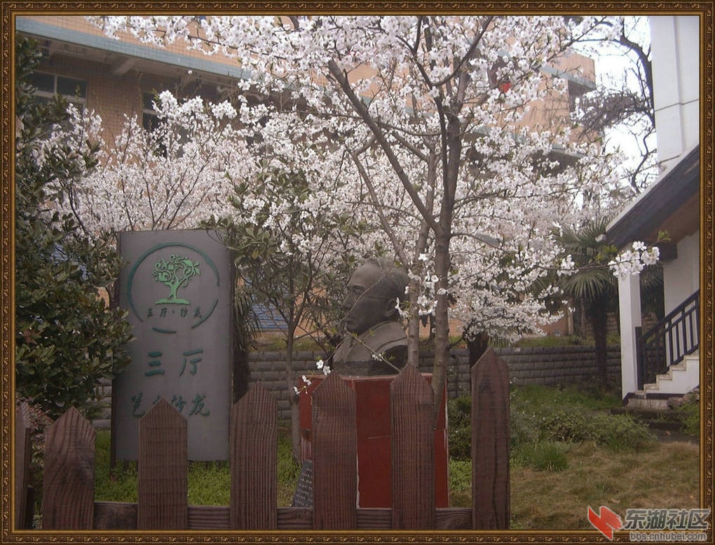 P1060149.JPG