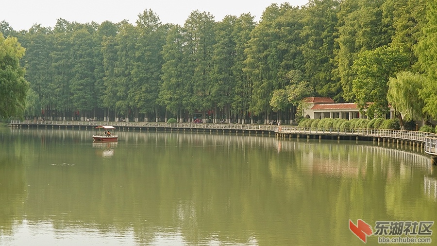 9    DSC04416_副本.jpg