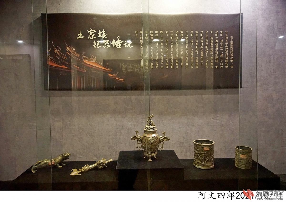 DSC00109.jpg