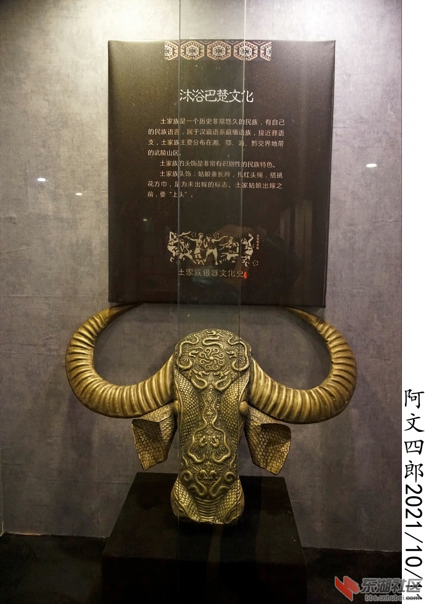DSC00112.jpg