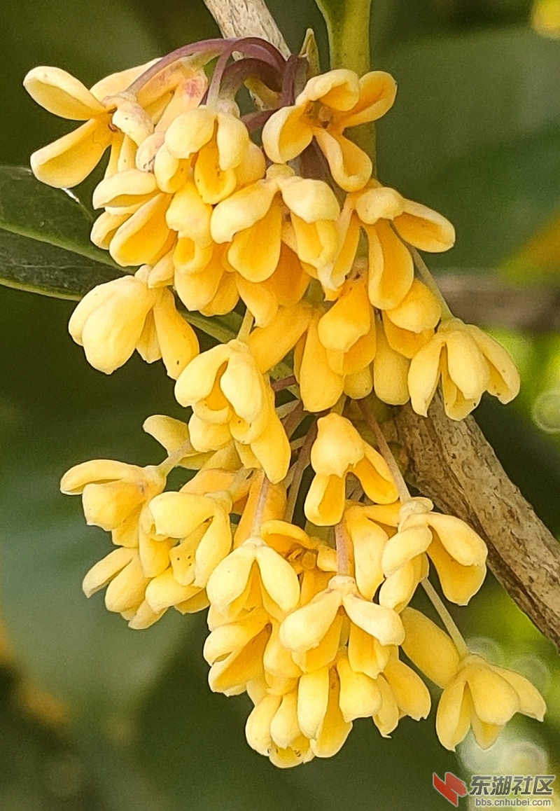 IMG20211027145218.jpg