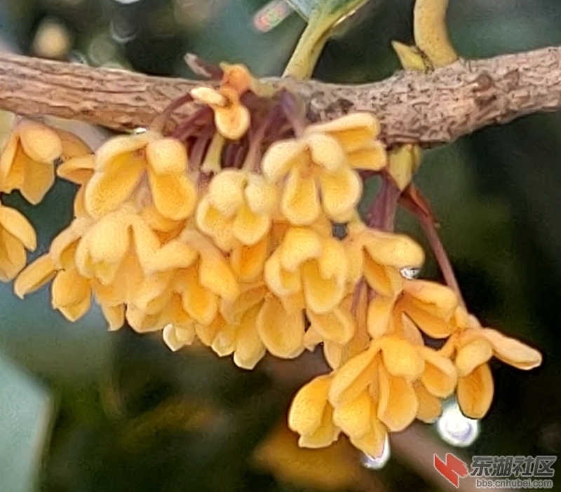 IMG20211027145317.jpg