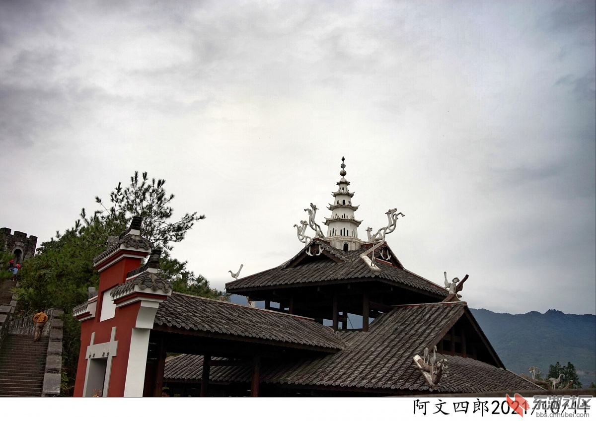 DSC00132.jpg