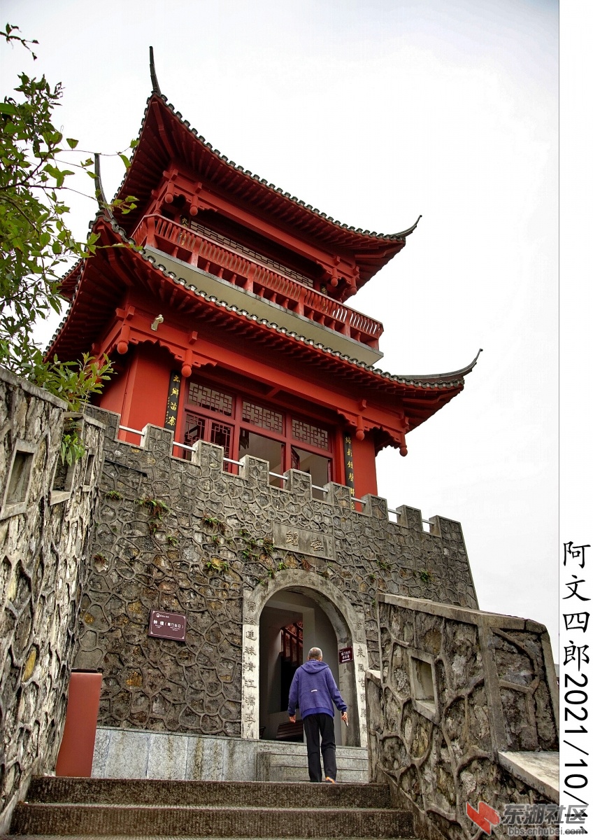 DSC00144.jpg