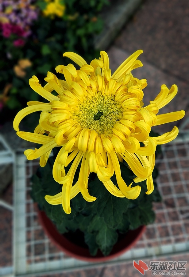 6    1635327962369_副本.jpg