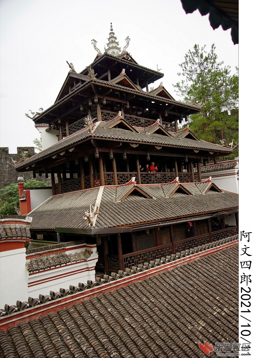 DSC00165.jpg