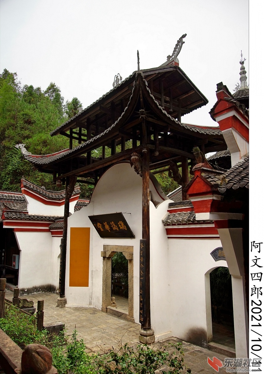 DSC00170.jpg