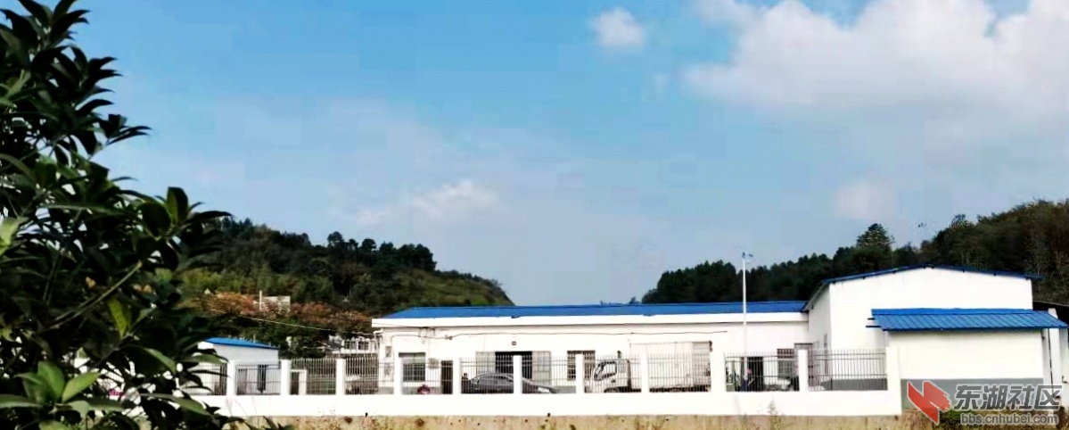 梅川镇岳山村实施乡村振兴战略，灵秀岳山在建设中采风纪实（三）