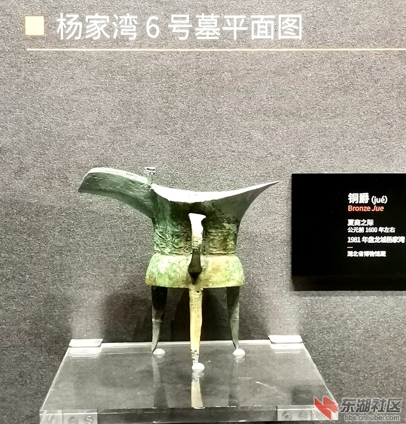 IMG_20211030_140201_副本.jpg