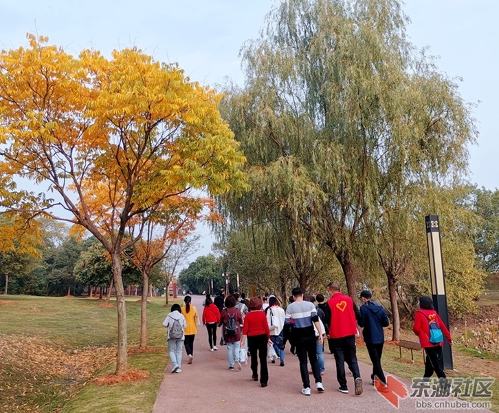 IMG_20211030_160112_副本.jpg