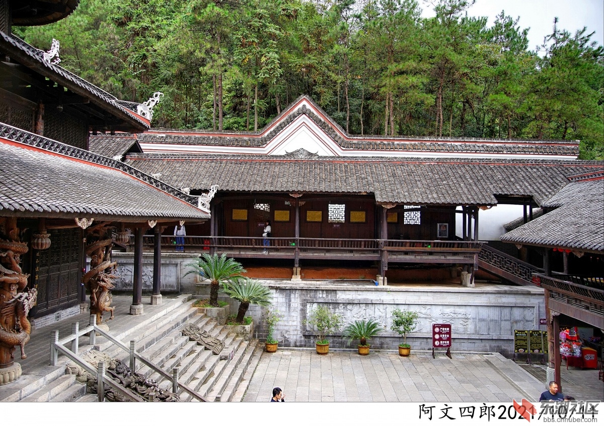 DSC00175.jpg