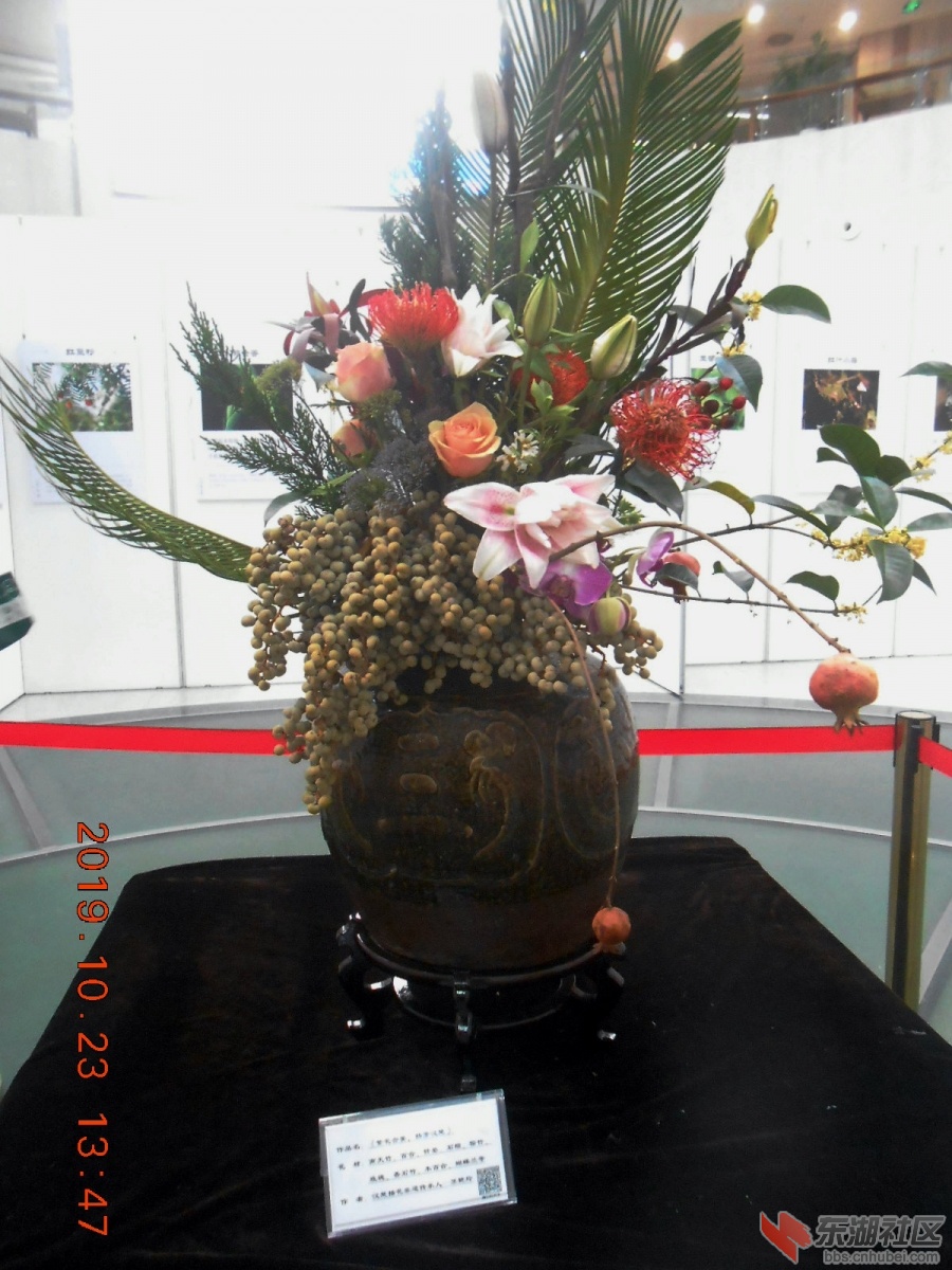 DSCN7032.JPG