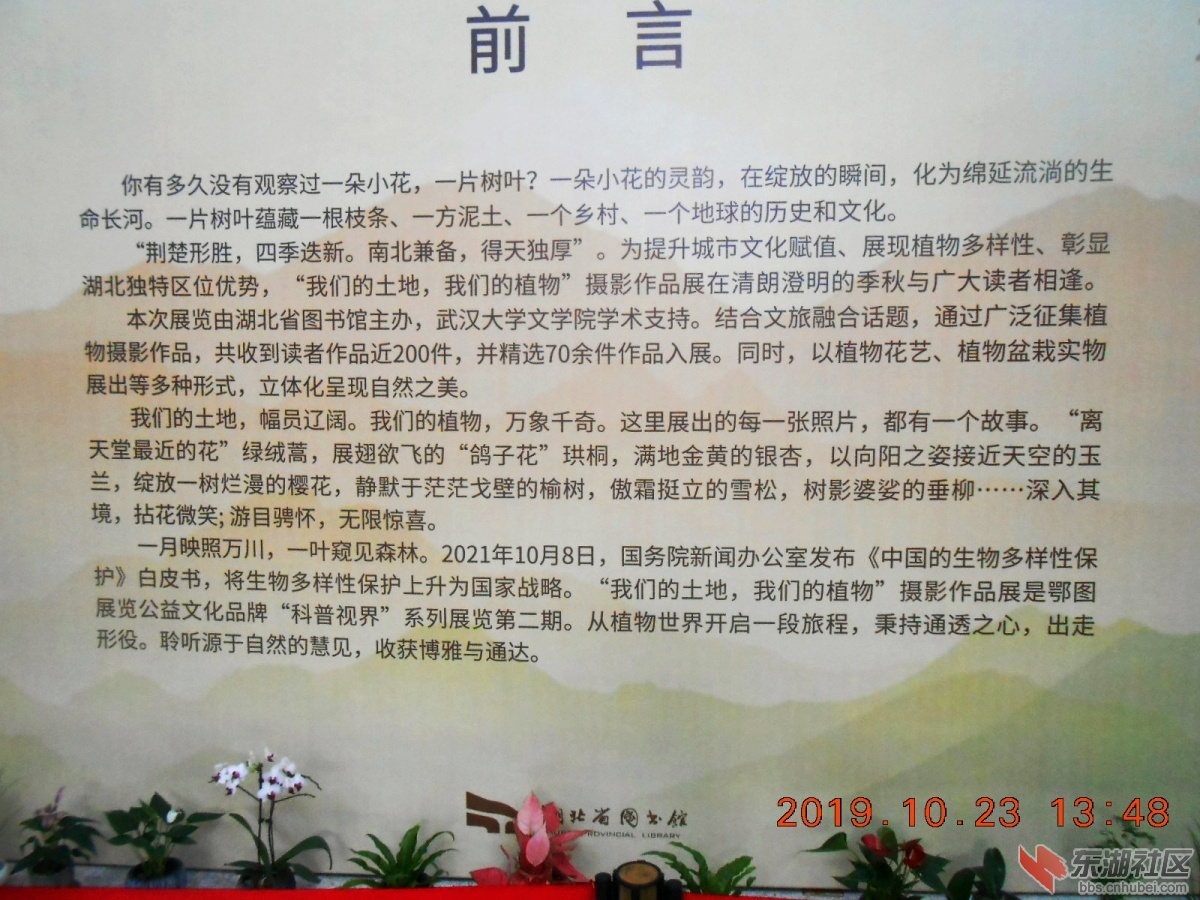 DSCN7034.JPG