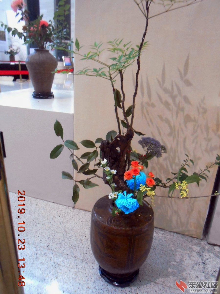 DSCN7036.JPG