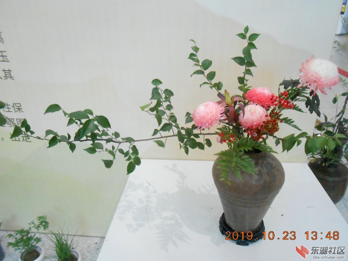 DSCN7035.JPG