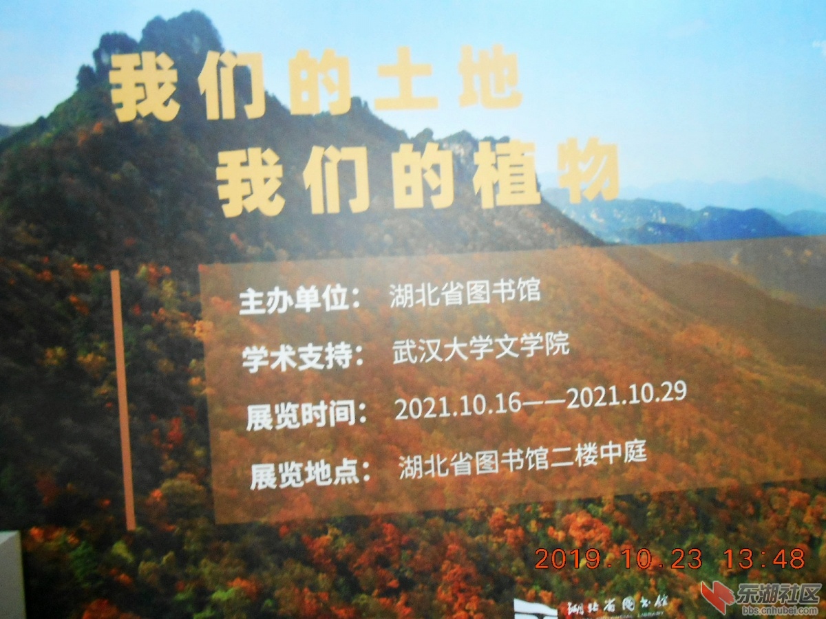 DSCN7037.JPG