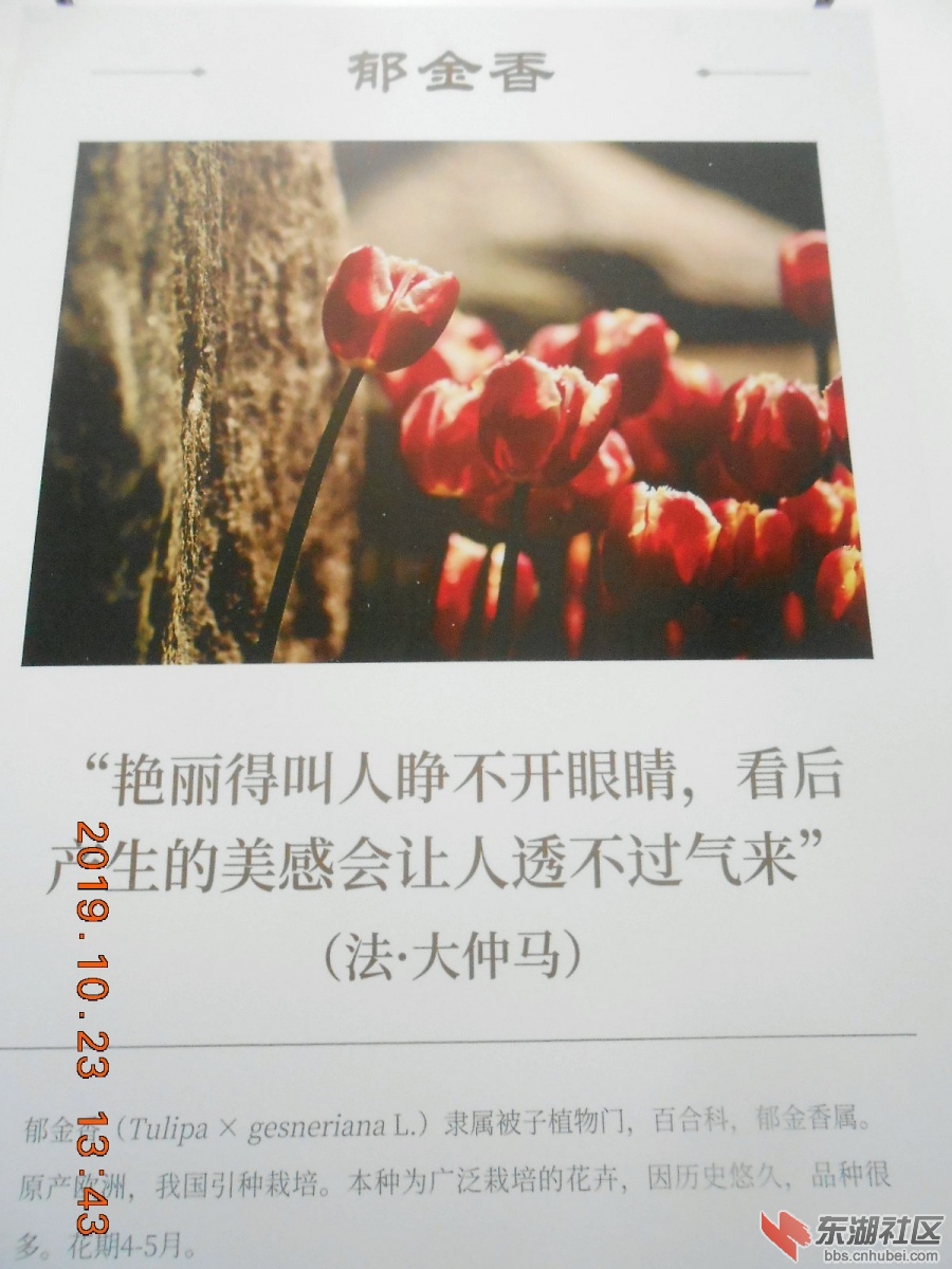 DSCN7006.JPG
