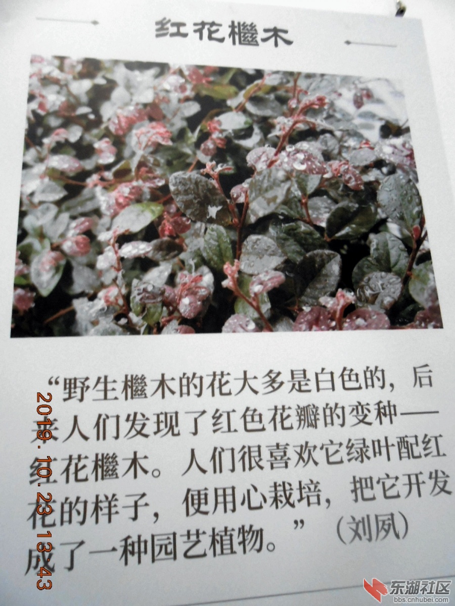 DSCN7007.JPG