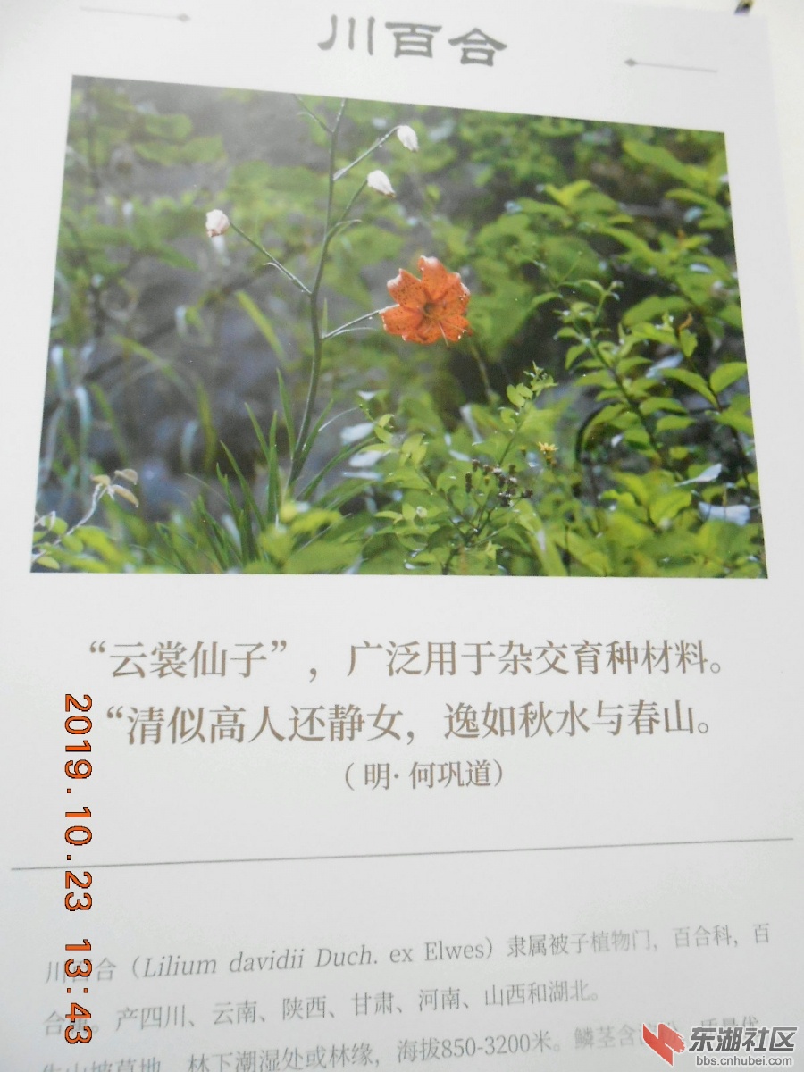 DSCN7008.JPG