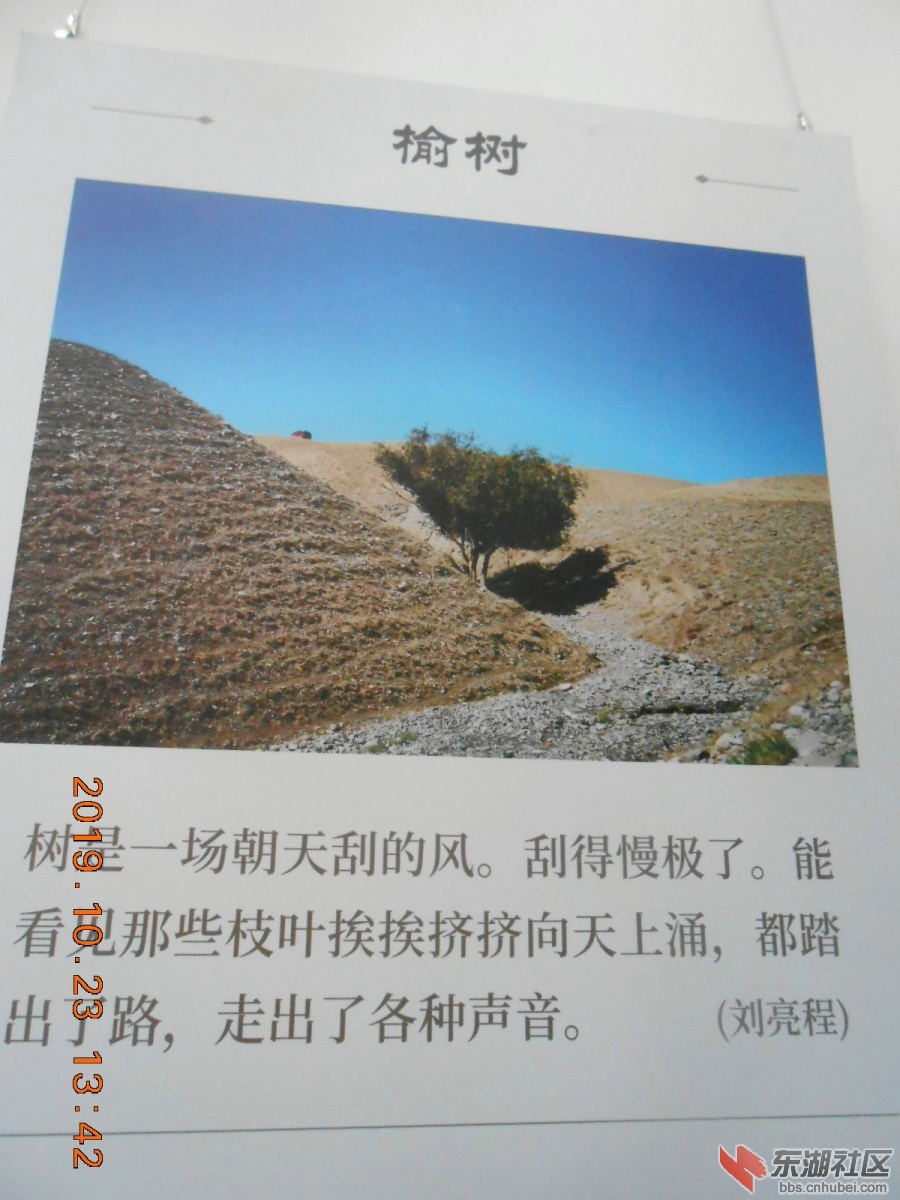 DSCN6999.JPG